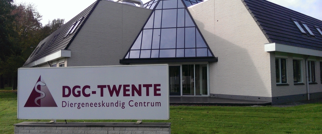 Lichtreclame, DGC-Twente